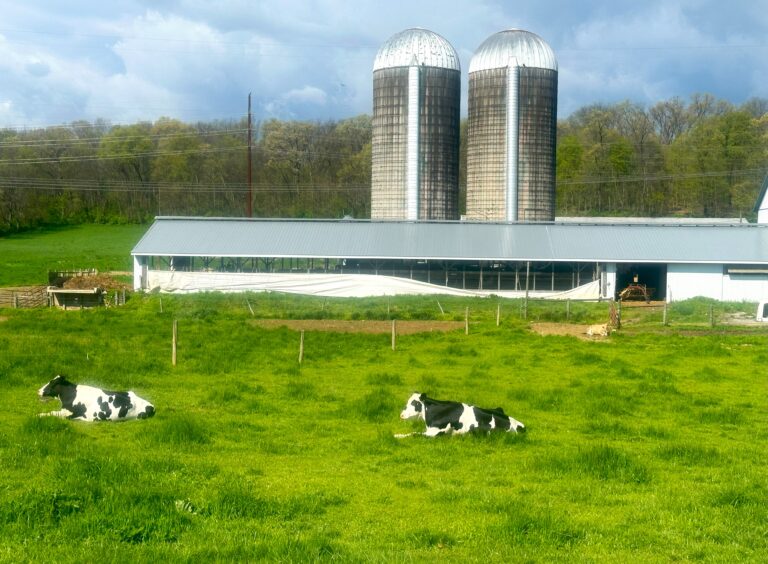 AT Day 80: Cumberland Valley to Cove Mountain