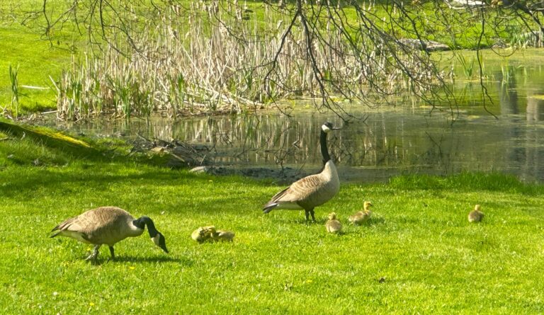 AT Day 94: Tallest Point in New Jersey