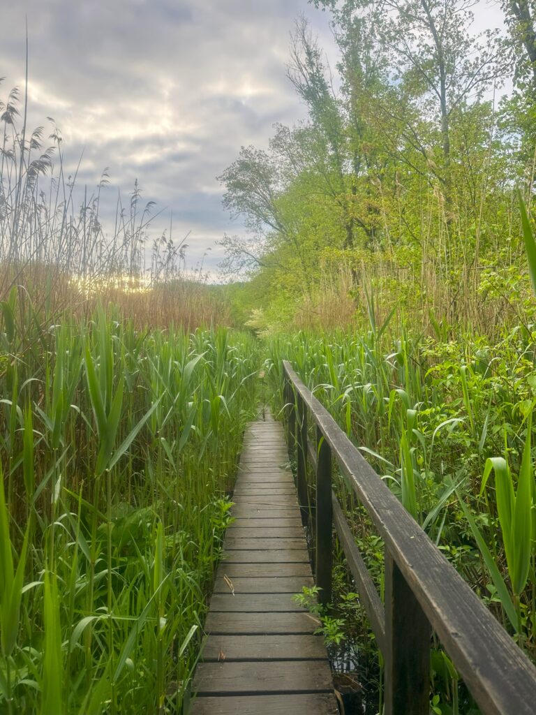 AT Day 103: Into CT Along the Housatonic River