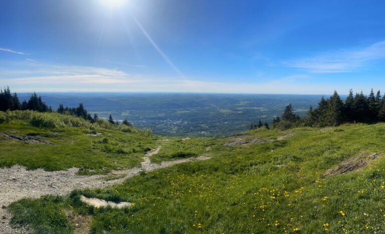 AT Day 110: Mt Greylock down to Williamstown MA