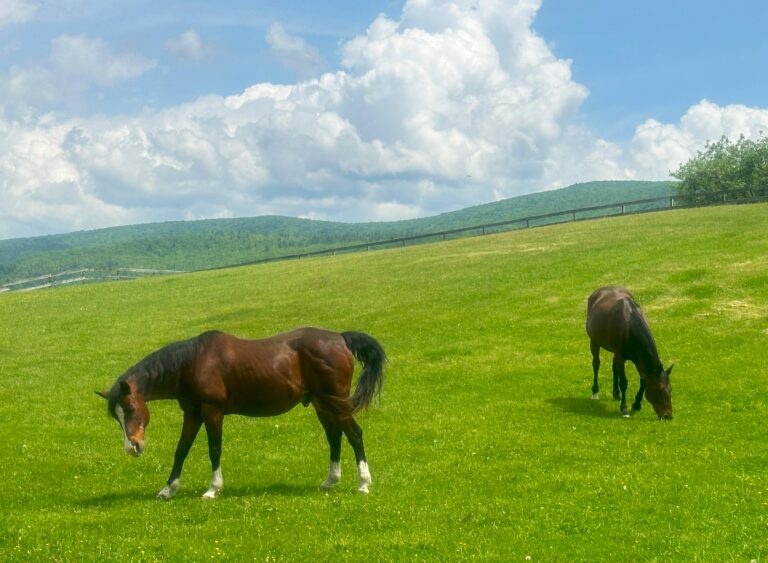 AT Day 112: Zero Day in Bennington VT