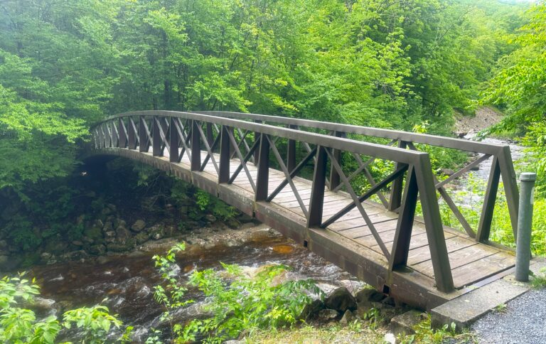 AT Day 113: Glastenbury Wilderness