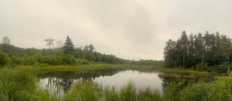 AT Day 122: Down to Lyme NH