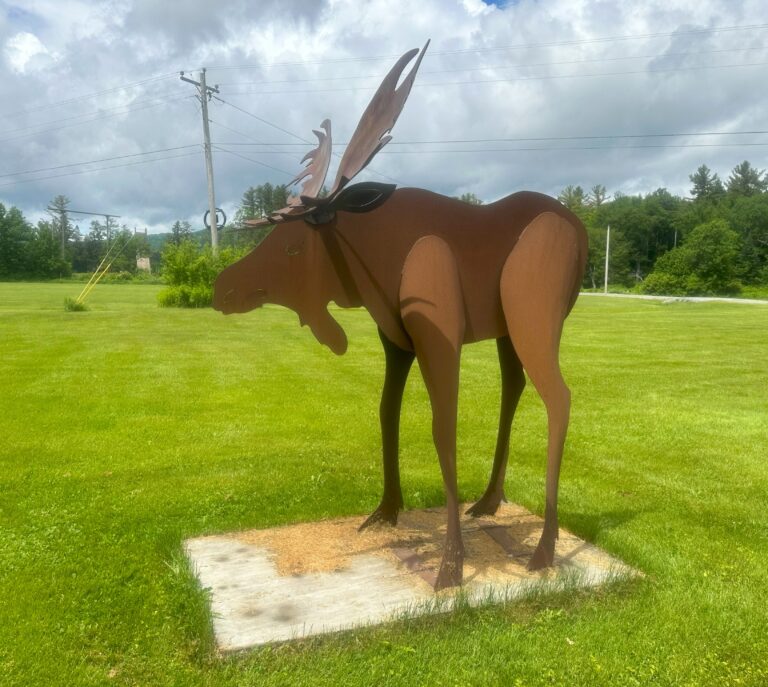 AT Day 124: NH Mtns to Wachipauka Pond