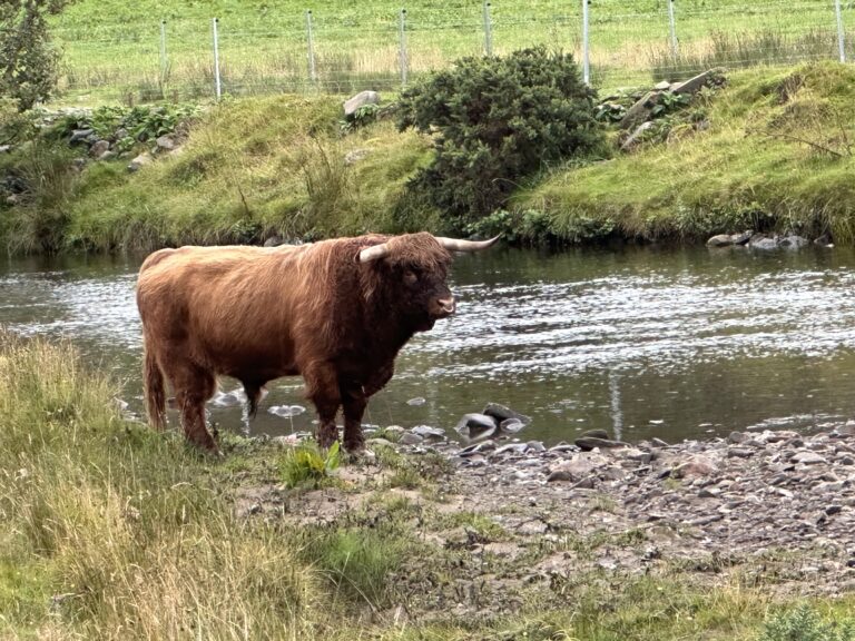 WHW Day 1: Tyndrum to Bridge of Orchy