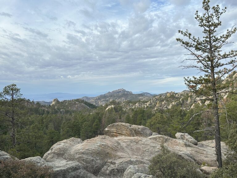 DWTH Day 1: Santa Catalinas Start