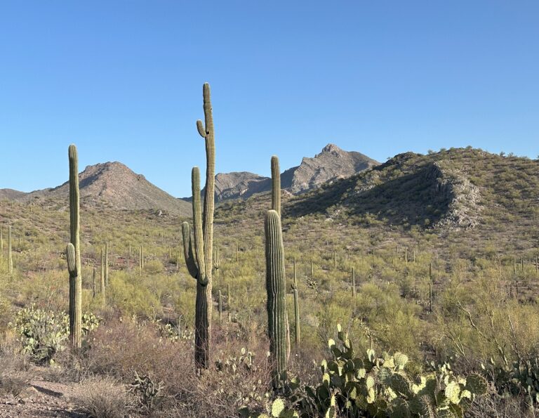 DWTH Day 6: Waterman Mtns to Ragged Top