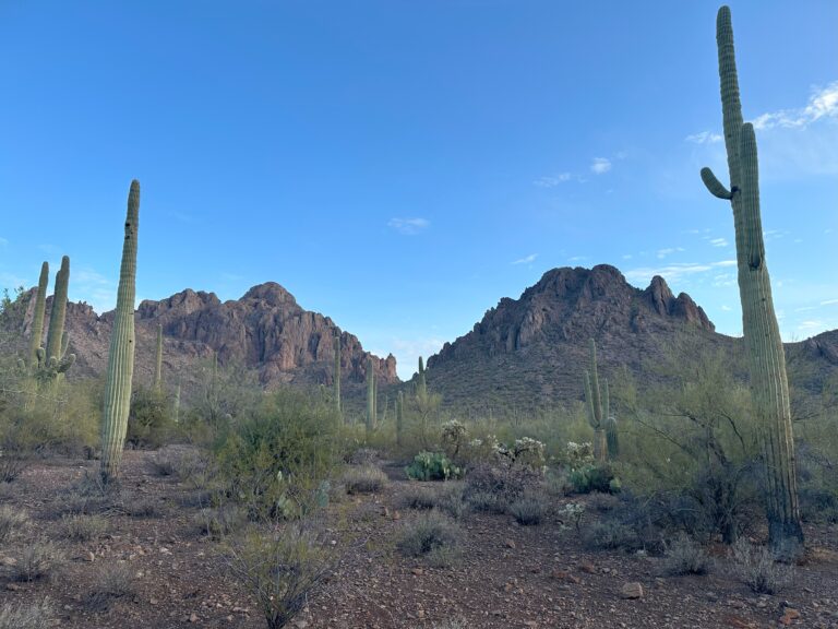 DWTH Day 7: Ragged Top to Sagittarius Rd