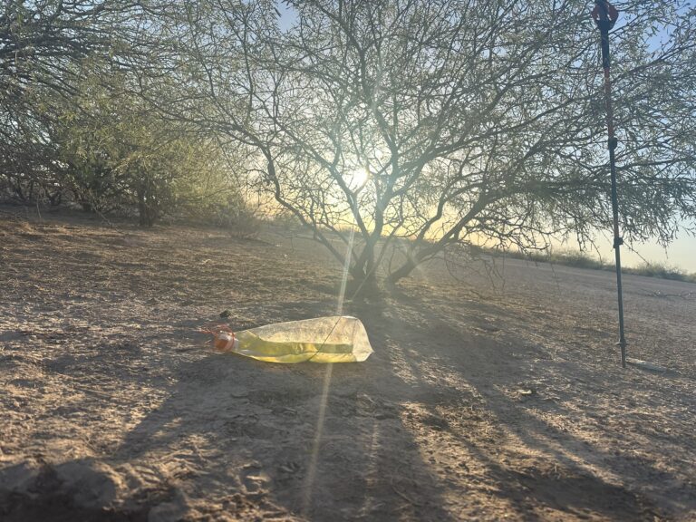 DWTH Day 9: Strolling into Arizona City