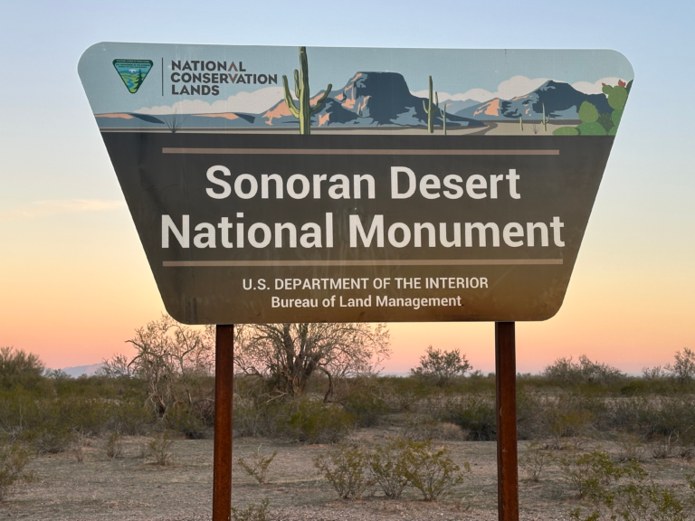 DWTH Day 12: Entering Sonoran Desert NM