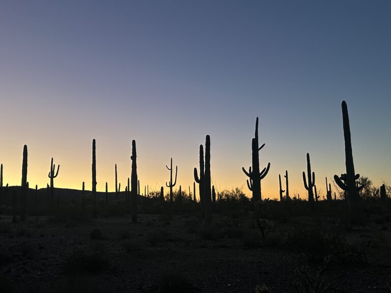 DWTH Day 13: On to South Maricopa Mtns Wilderness