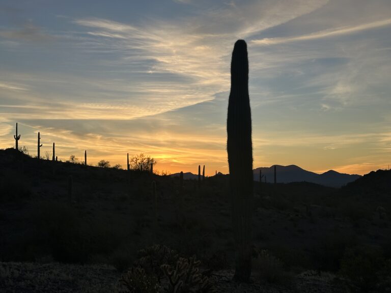 DWTH Day 14: Maricopa Mountains