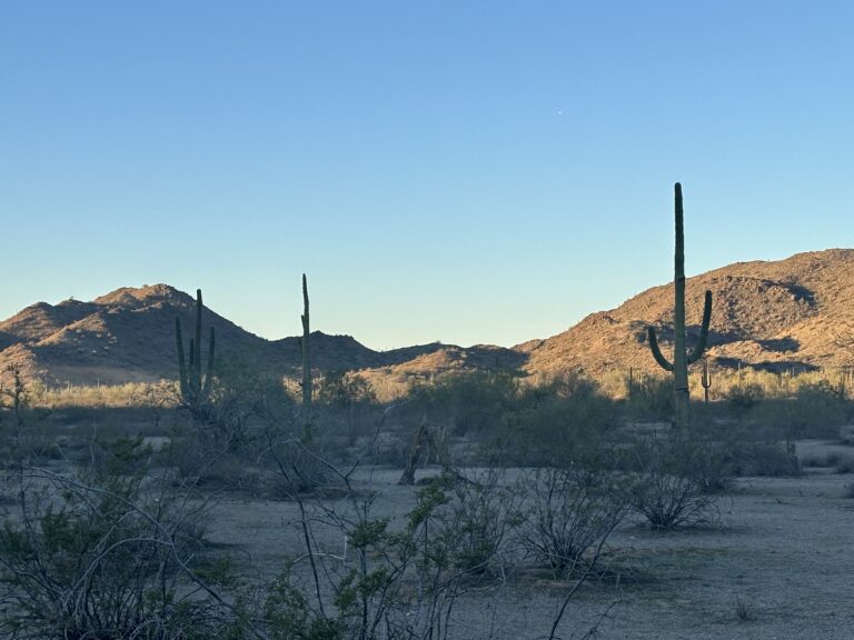 DWTH Day 16: Bound for Buckeye