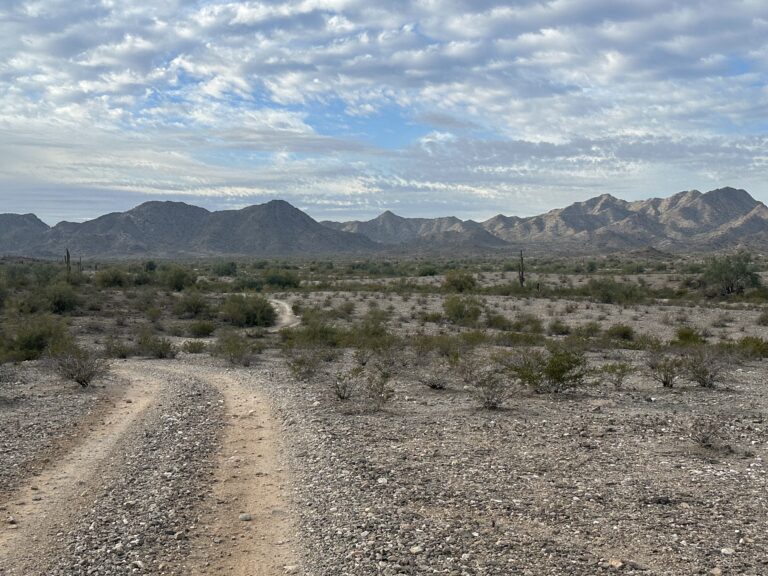 DWTH Day 18: Buckeye Hills and Beyond