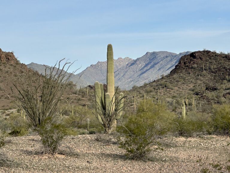 DWTH Day 23: Harquahala Mountains