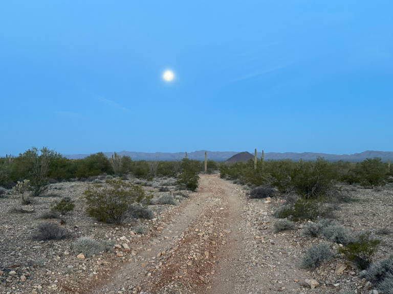 DWTH Day 27: Alamo Lake