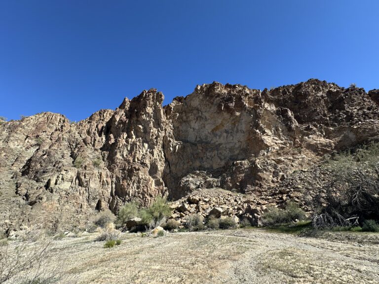 DWTH Day 29: Swansea Wilderness