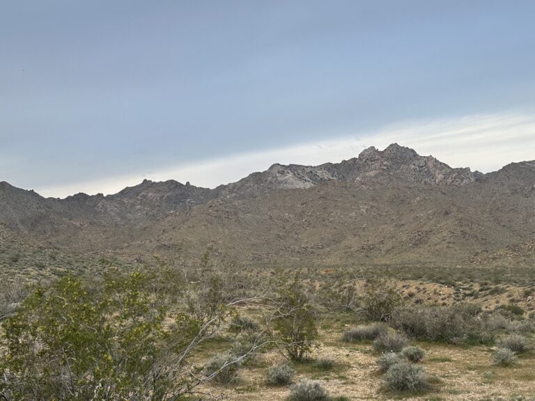 DWTH Day 36: Mohave Trails National Monument