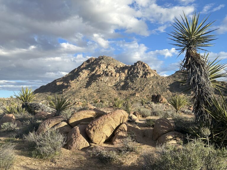 DWTH Day 37: Piute Wilderness & Fenner
