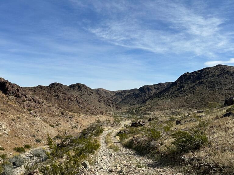 DWTH Day 46: Pinto Mountains Wilderness