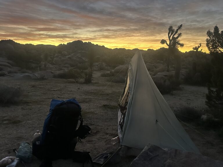 DWTH Day 49: JTNP to Yucca Valley