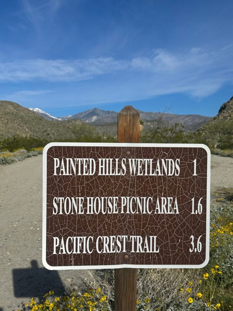 DWTH Day 50: Connection to the PCT