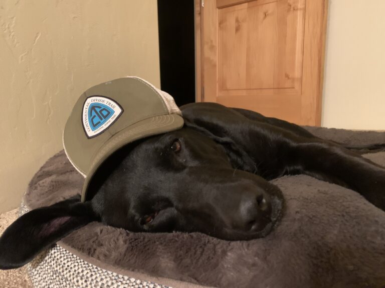 DWTH Closing Comments