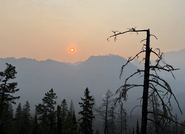 PNT Day 3: Over Brown Pass to Bowman Lake